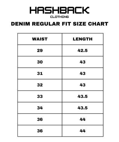 Men's Regular Fit Denim Pant