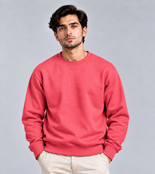 Unisex Plain Regular Fit Sweatshirt